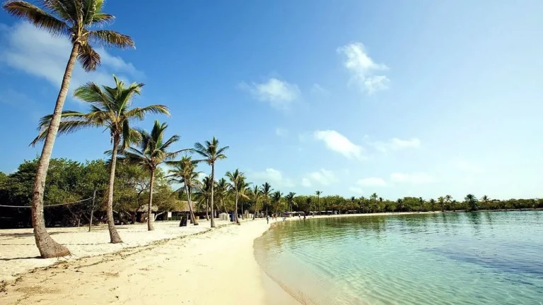 playa tucacas venezuela