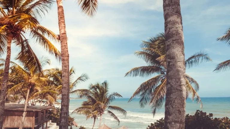 que hacer en margarita