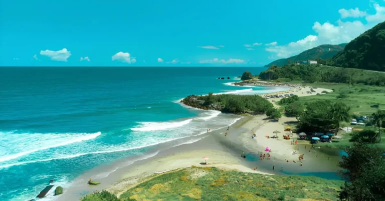 Posadas en La Guaira que aceptan mascotas